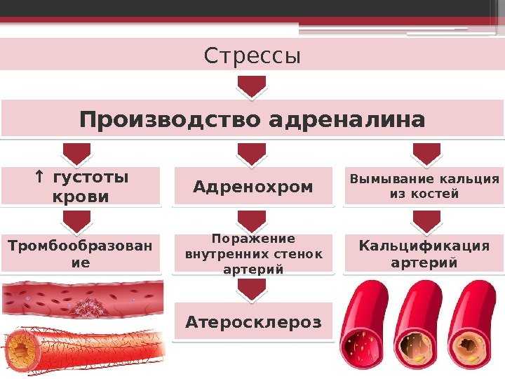 Тромбы конечностей: симптомы, причины, способы лечения