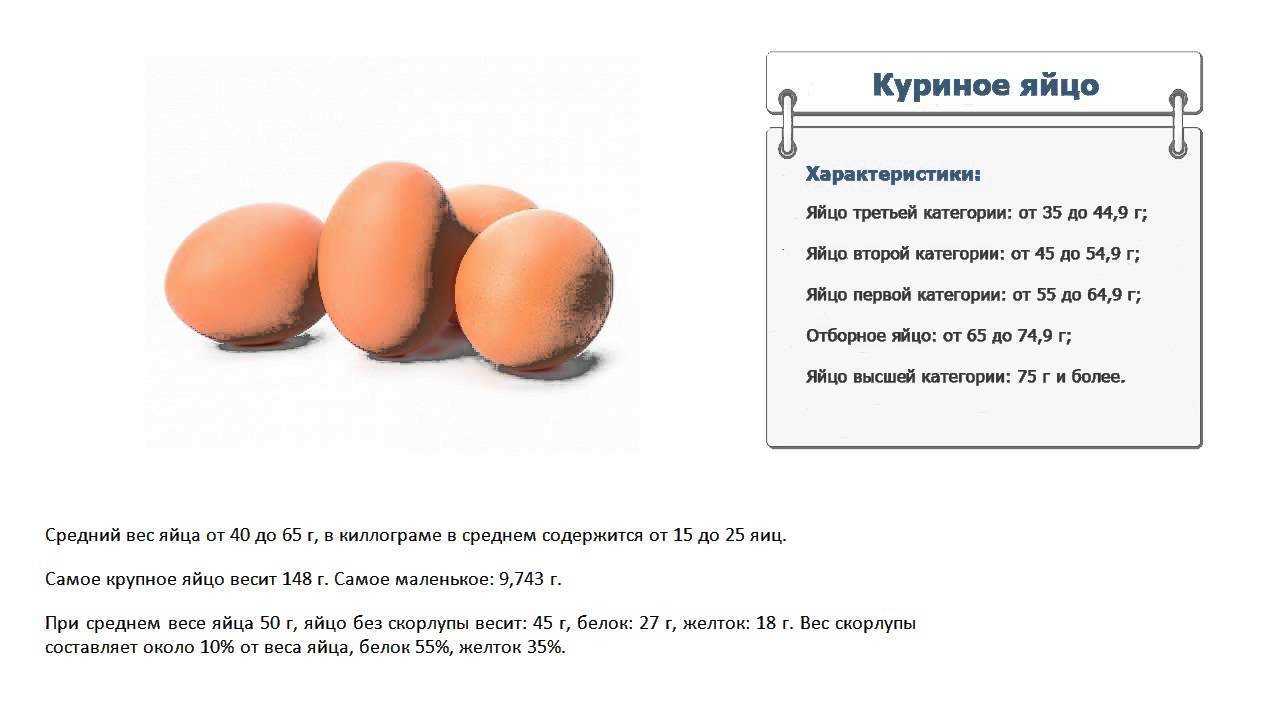 ✅ сколько граммов весит куриное яйцо: без скорлупы, сырое, варёное вкрутую и всмятку, вес желтка и белка, значение по категориям - tehnoyug.com