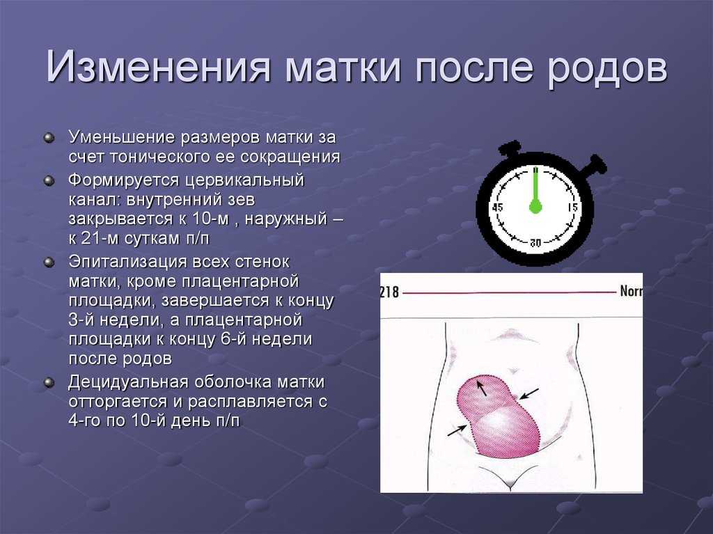Схватки: как понять что они начались, ощущения при схватках - симптомы, тренировочные, ложные