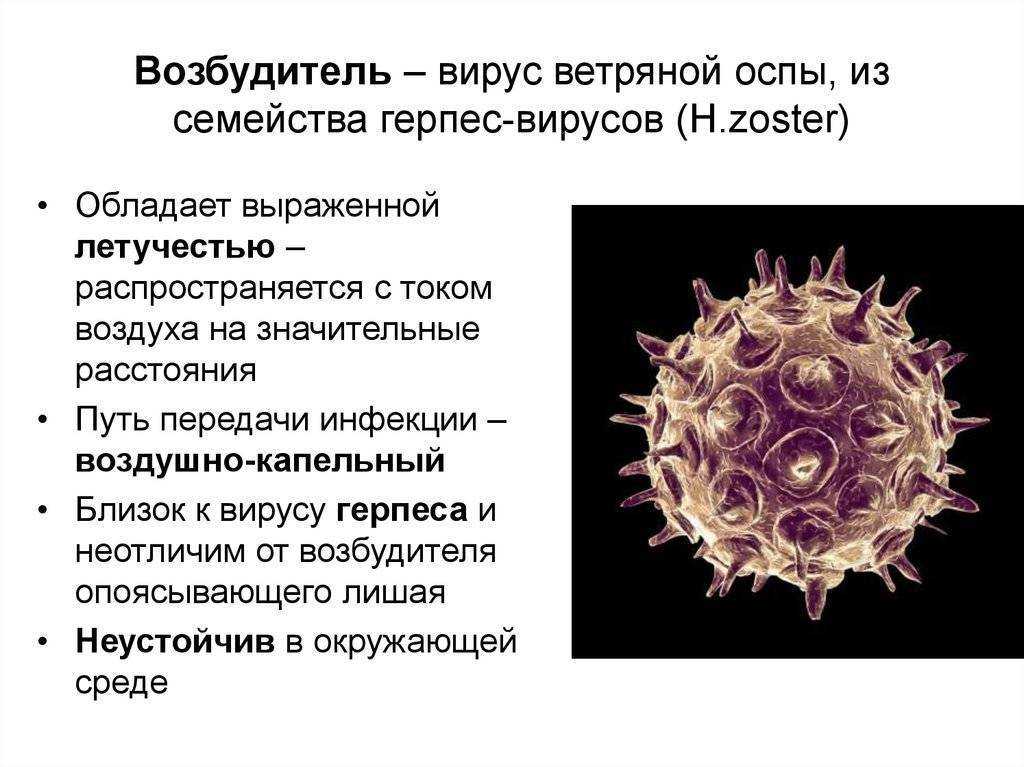Что будет, если прижечь папилломы йодом?