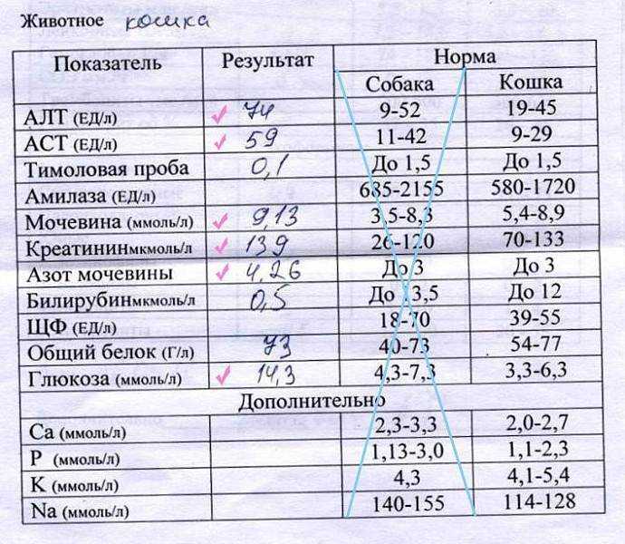 Биохимический анализ крови: что нужно знать - клиника в уручье