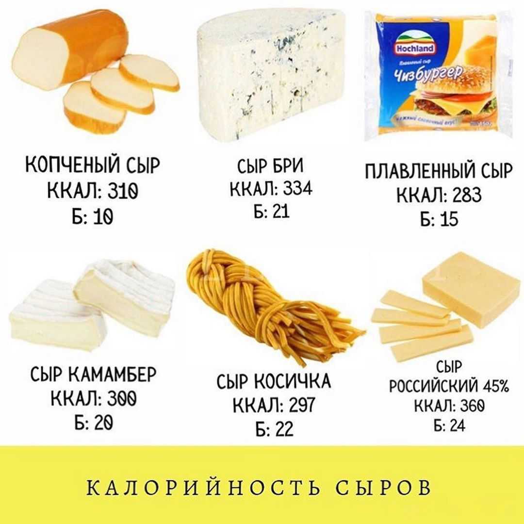Бжу в сыре: твердом, полутвердом и мягком