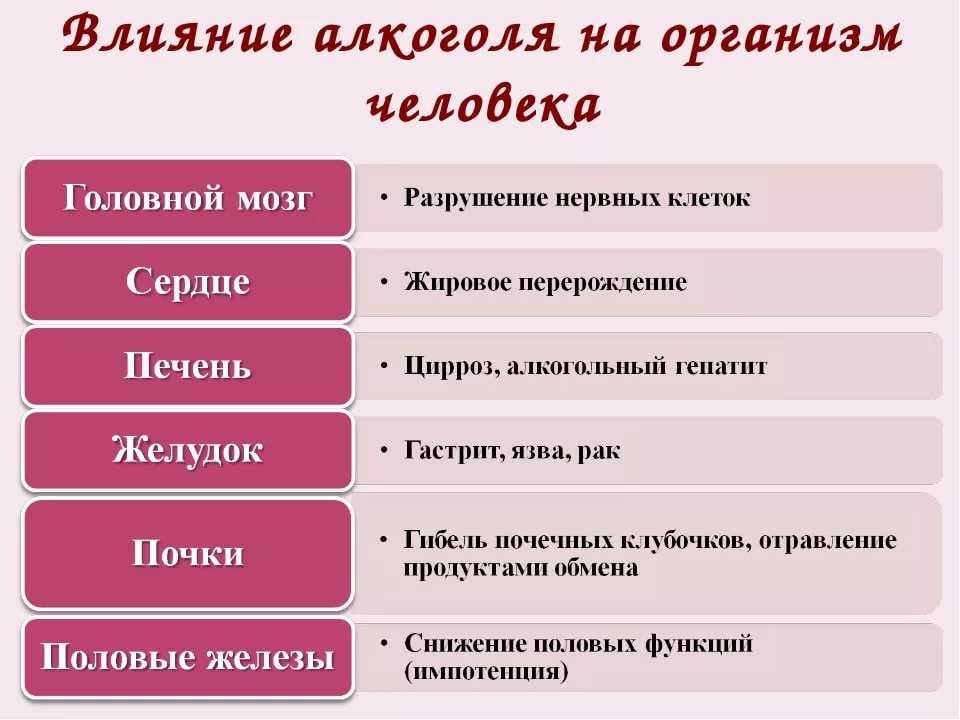 Как алкоголь влияет на организм пьющего человека