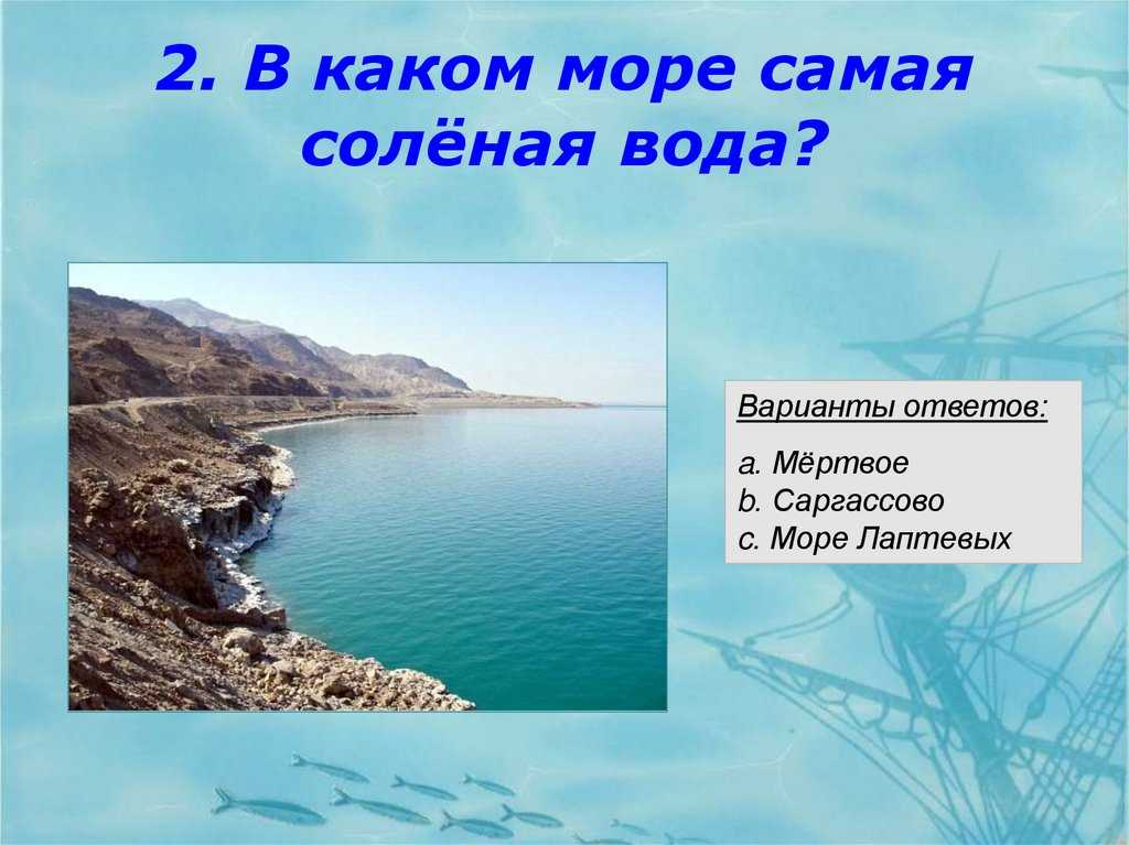 Самой соленое море. Самое соленое море. Самое соленое море Тихого океана.