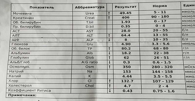 Креатинин в крови