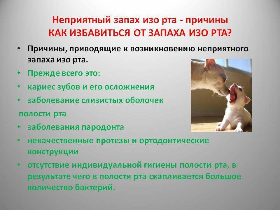 Продукты, вызывающие изжогу и диета для ее профилактики