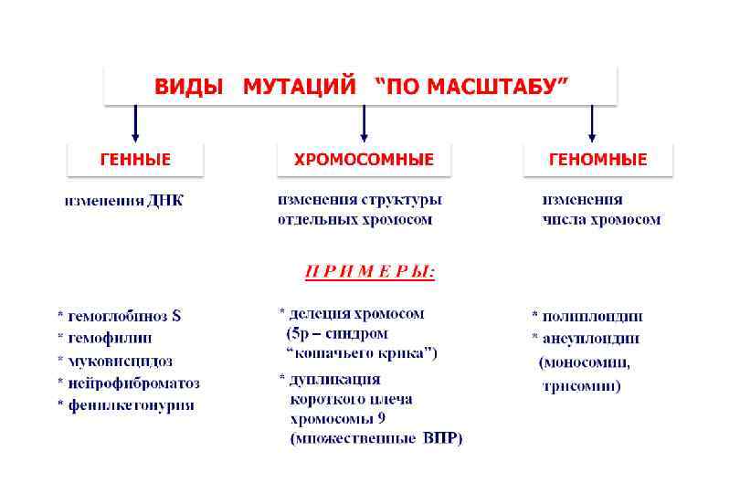 Невынашивание беременности