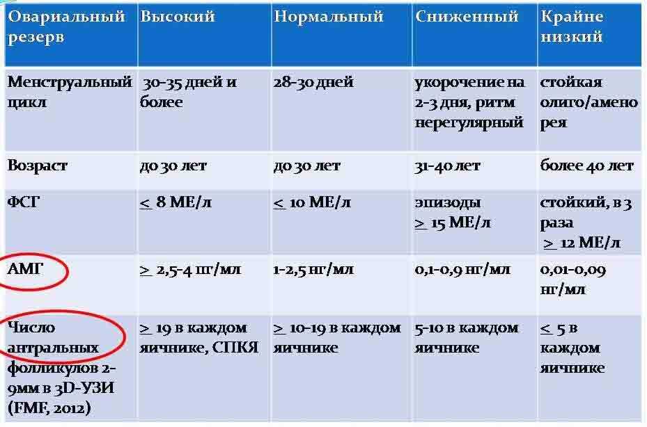 Низкий амг и эко – шансы на успех