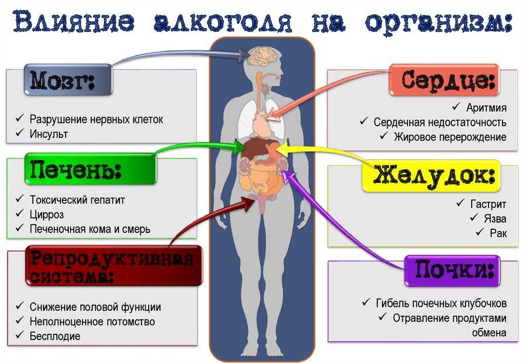 Как алкоголь отражается на здоровье? мнение гепатолога | клиника эксперт