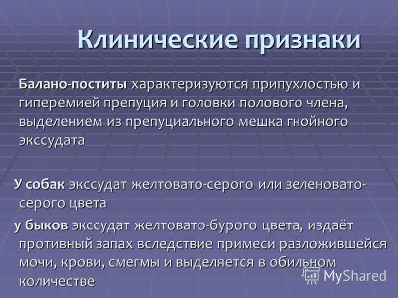 Скопление смегмы под крайней плотью у детей: причины, отличие от патологических выделений, лечение скопление смегмы под крайней плотью у детей: причины, отличие от патологических выделений, лечение
