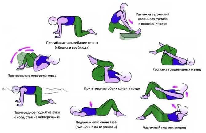 Упражнения при болях в позвоночнике: стратегия лечения, снятие острой боли