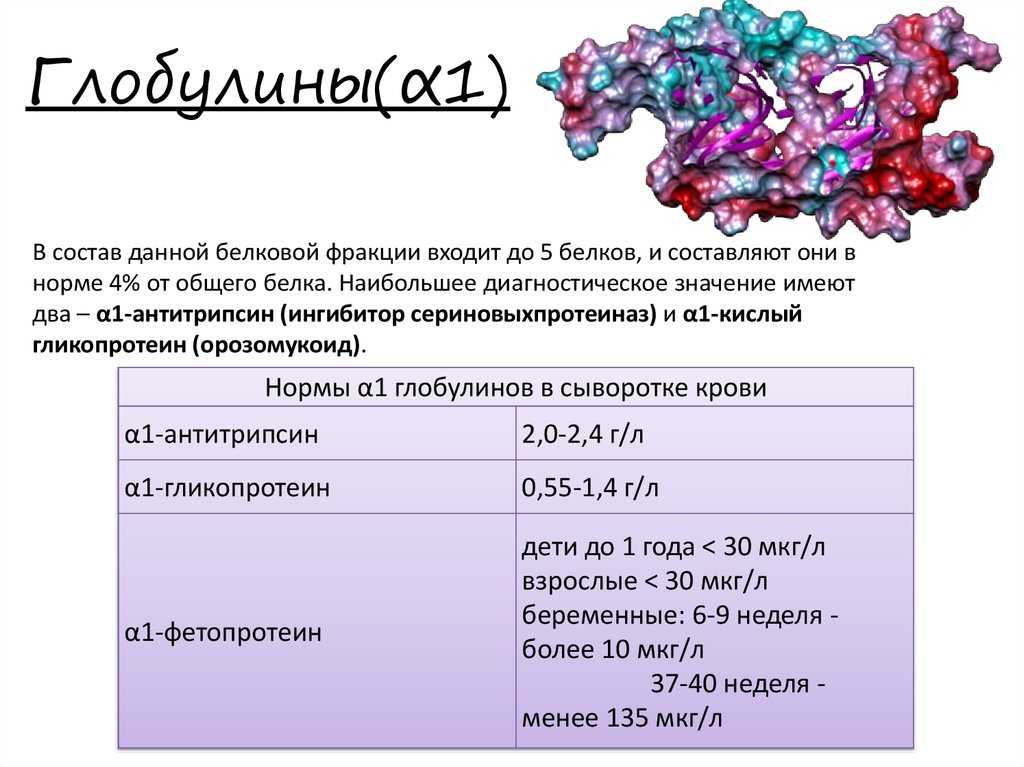 Анализы крови при подозрении на онкологию: расшифровка нормы отклонения | rumex
