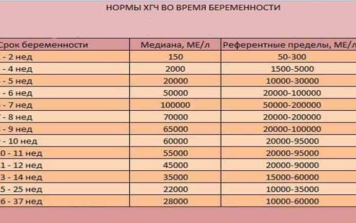 Рост хгч на ранних сроках беременности: динамика
