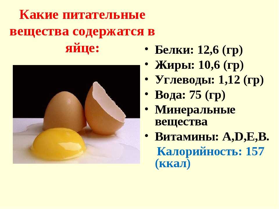 Сколько грамм в одном яйце: вес белка и желтка, масса без скорлупы