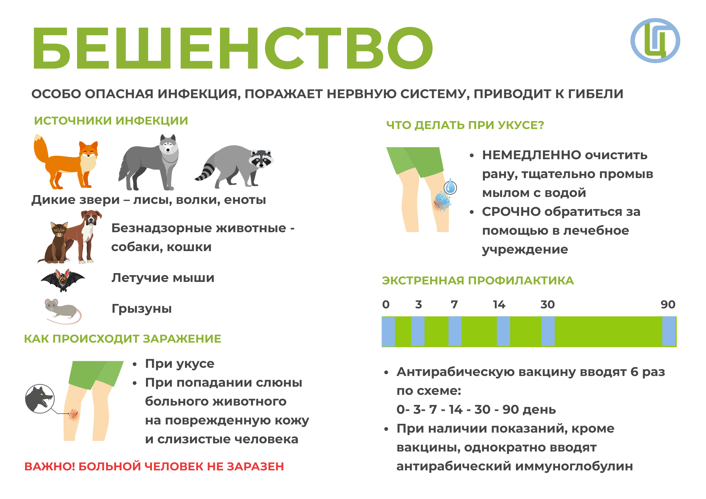 Профилактика бешенства: информационные материалы 2022 | гбуз "нехаевская црб"