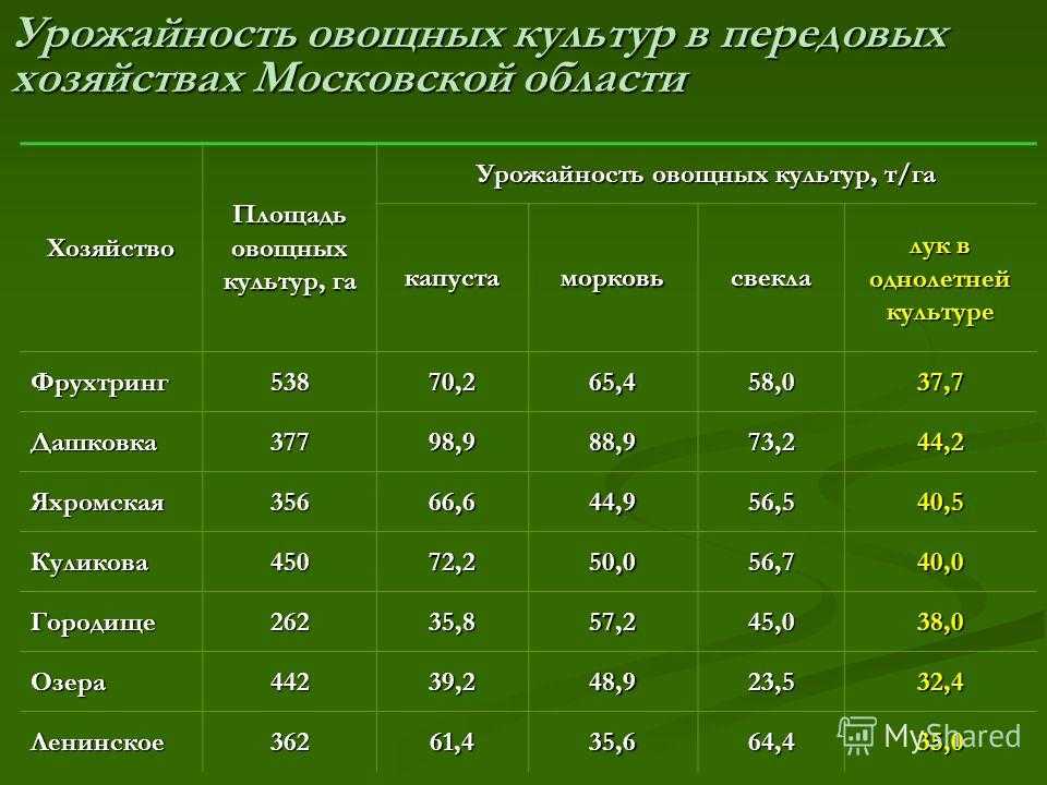 1 кг картошки сколько в штуках