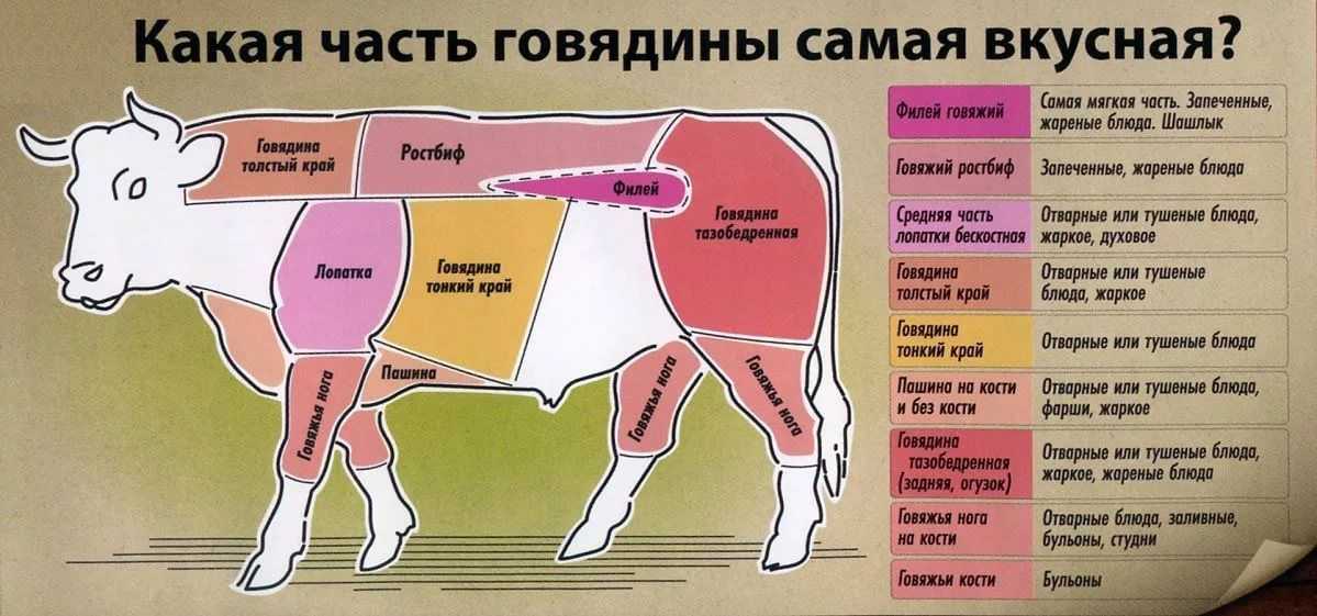Диетическое мясо: какое считается самым низкокалорийным, список, рецепты блюд из говядины, как выбрать и готовить мясные продукты на диете? | customs.news