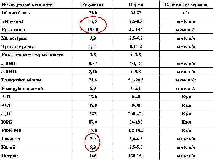 Биохимический анализ крови