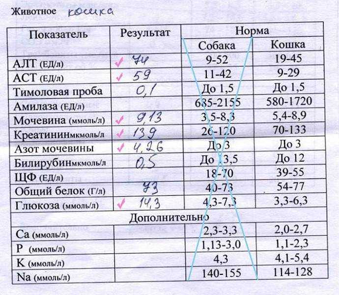 Биохимический анализ асат: расшифровка, норма, что означает повышение уровня алат