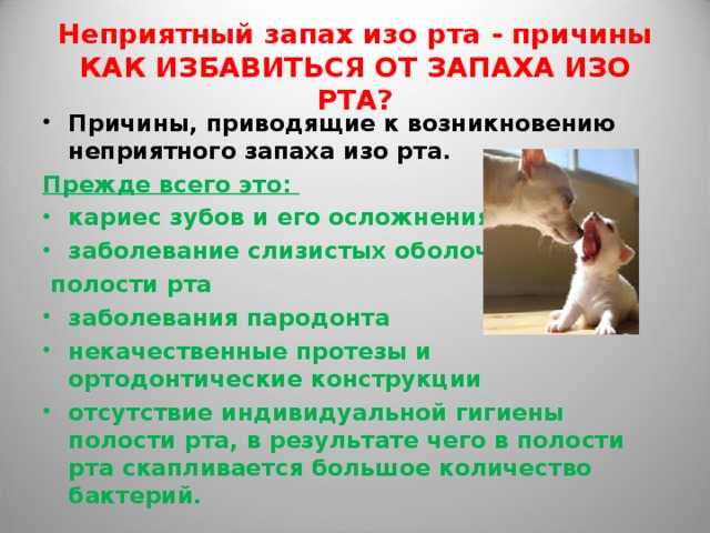 Болезни которые можно узнать по запаху