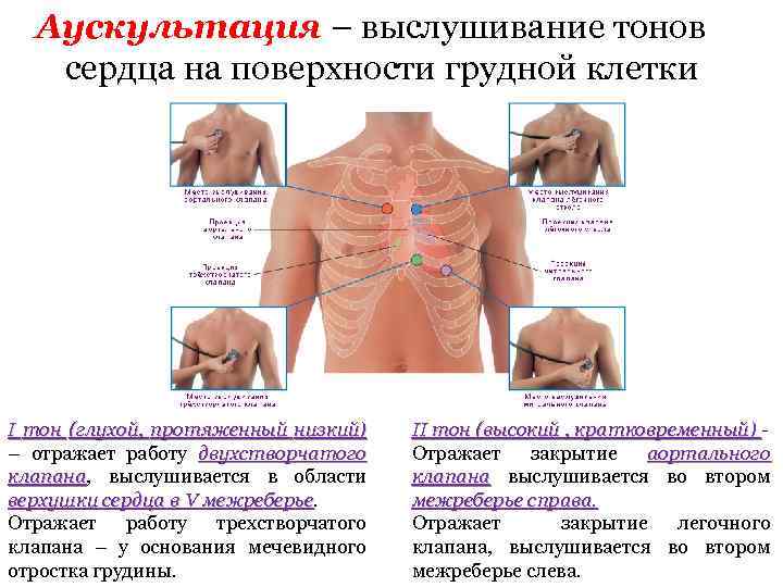 Что такое аускультация легких, алгоритм проведения, при каких заболеваниях проводится