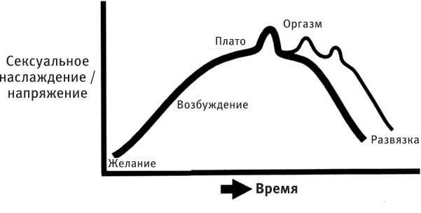Стадии любви у мужчин в отношениях