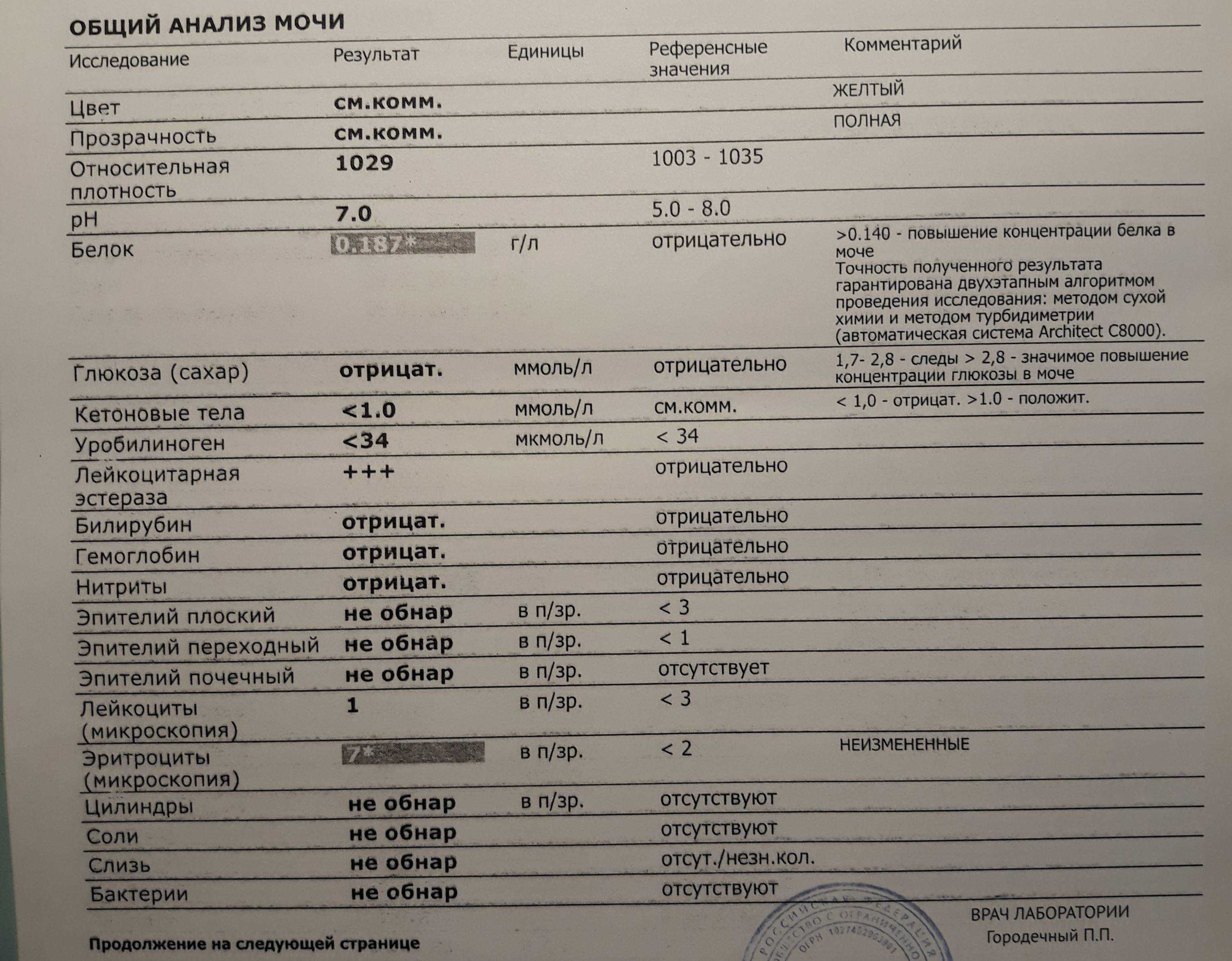 Нитриты в моче: причины повышения и лечение