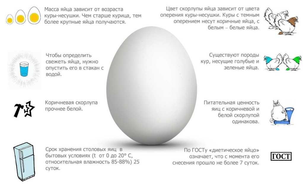 Сколько весит куриное яйцо в граммах без скорлупы по категории