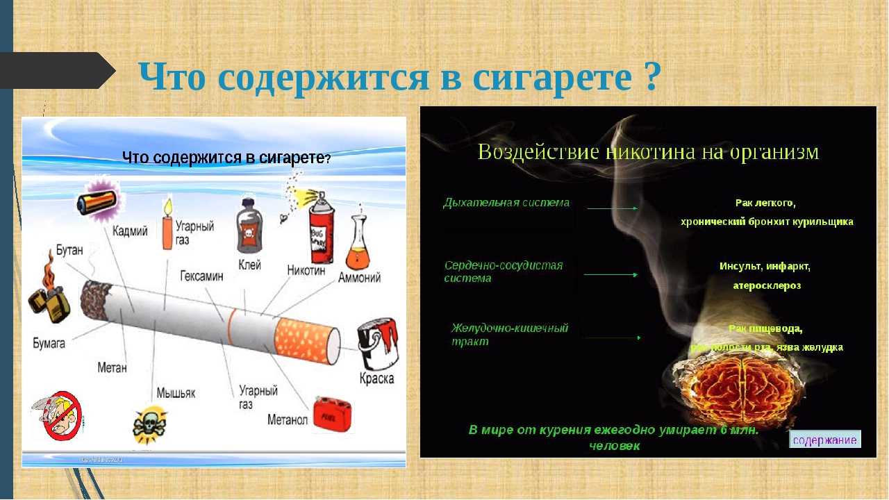 Бруцеллез: заразное молоко и мясо | университетская клиника
