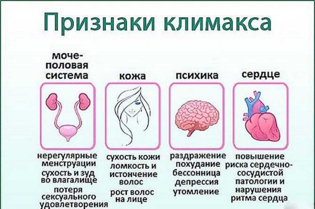 Климакс: менопаузы у женщин, период, симптомы - women first