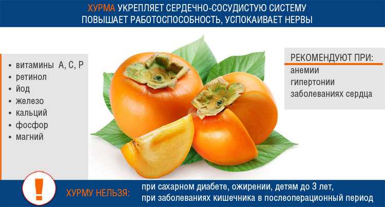 Хурма польза и вред для организма человека. кому нельзя есть хурму