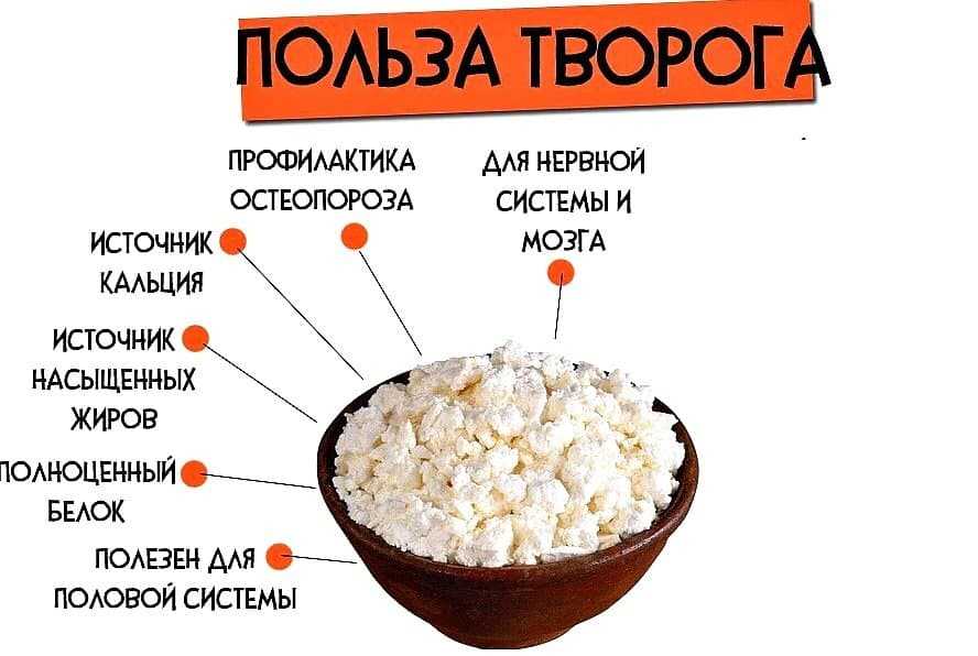 Сколько можно и как хранить творог в холодильнике и морозилке