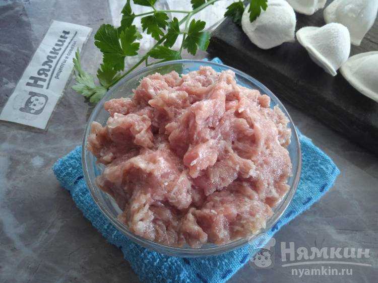 Фарш на пельмени - сочный и вкусный: 10 рецептов начинки для домашних пельменей