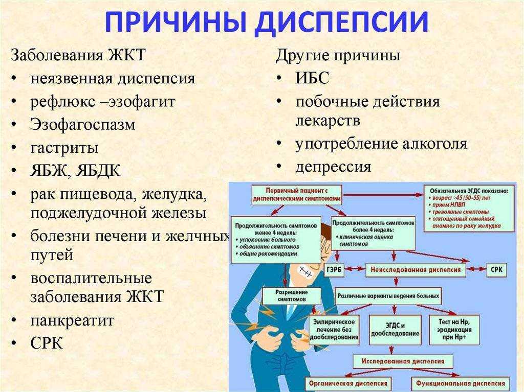 Неязвенная функциональная диспепсия - причины, симптомы, диагностика, лечение и профилактика