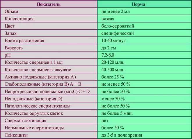 5 фактов о сперме, которые вас удивят