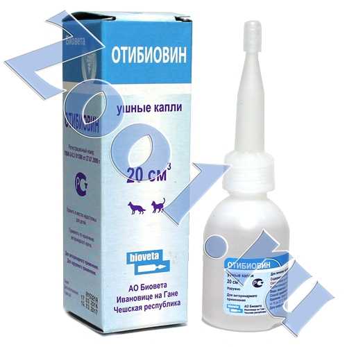 Грибок в ухе: диагностика, симптомы, лечение