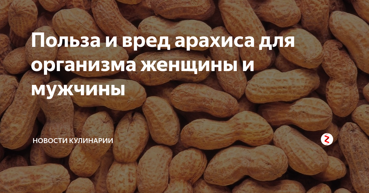 Кешью: польза и вред для организма человека