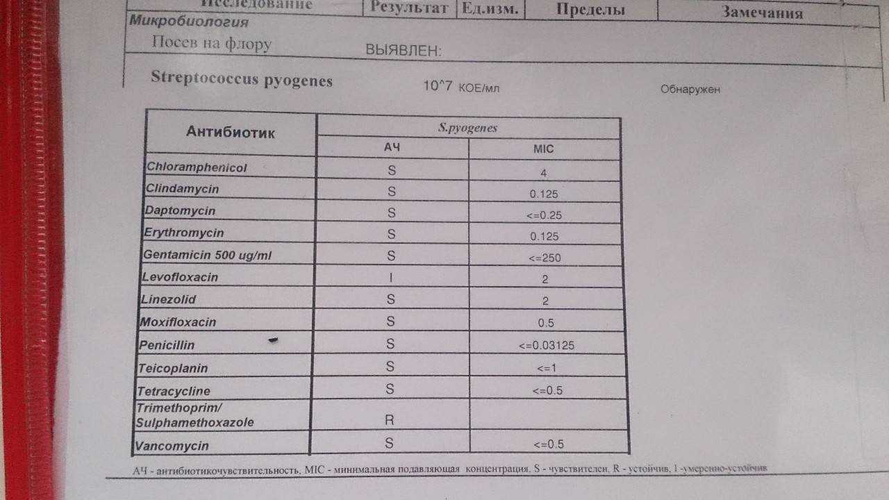Стрептодермия