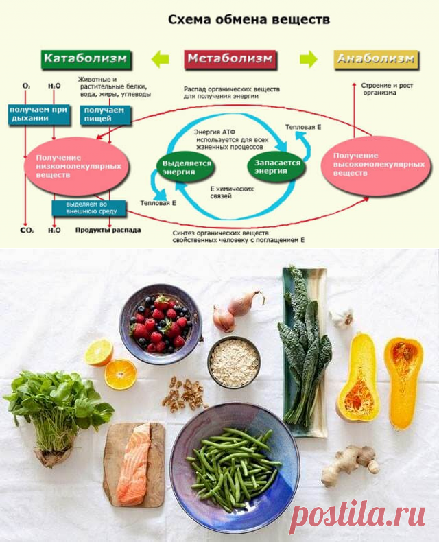 20 простых продуктов, ускоряющих метаболизм