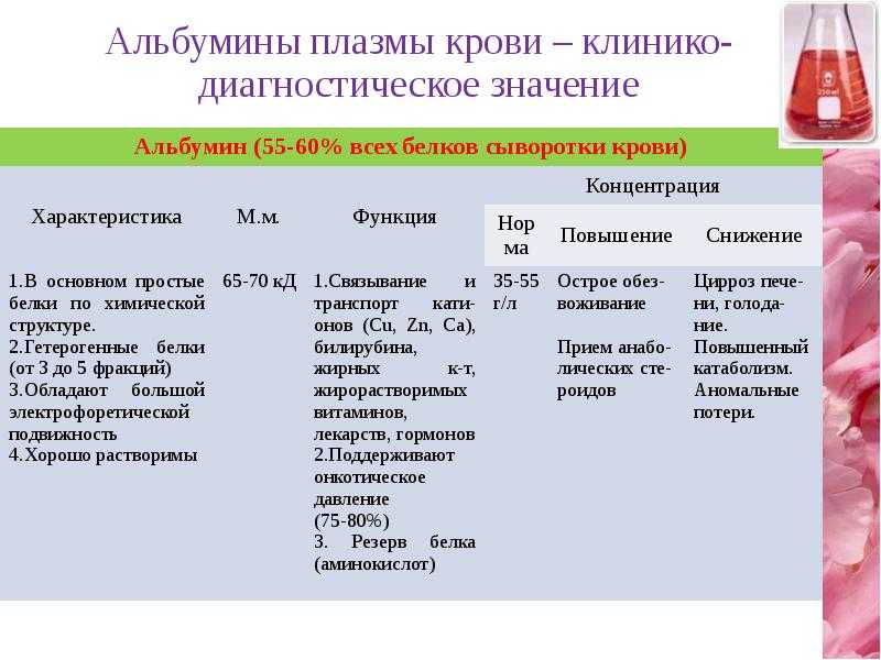 Биохимический анализ крови: подготовка, таблица нормальных значений, расшифровка