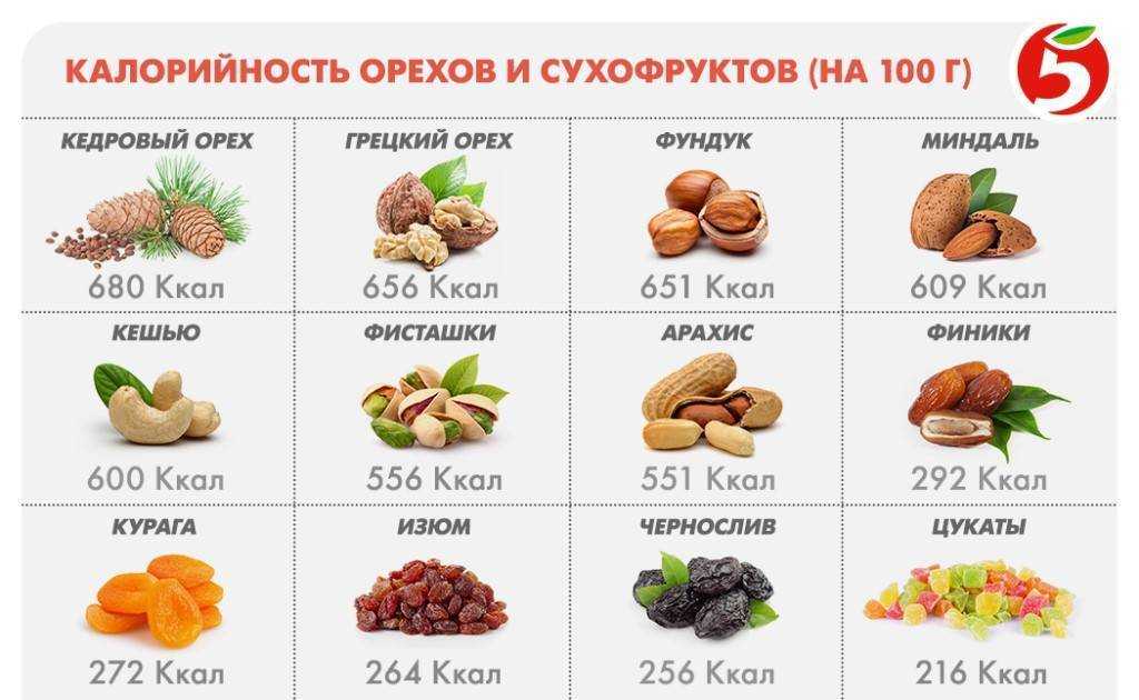 Всё об орехах кешью — польза, вред, вкус и кулинарный шедевр