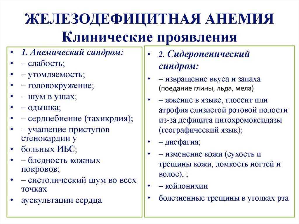 Анемия (малокровие): симптомы, лечение, степени, виды