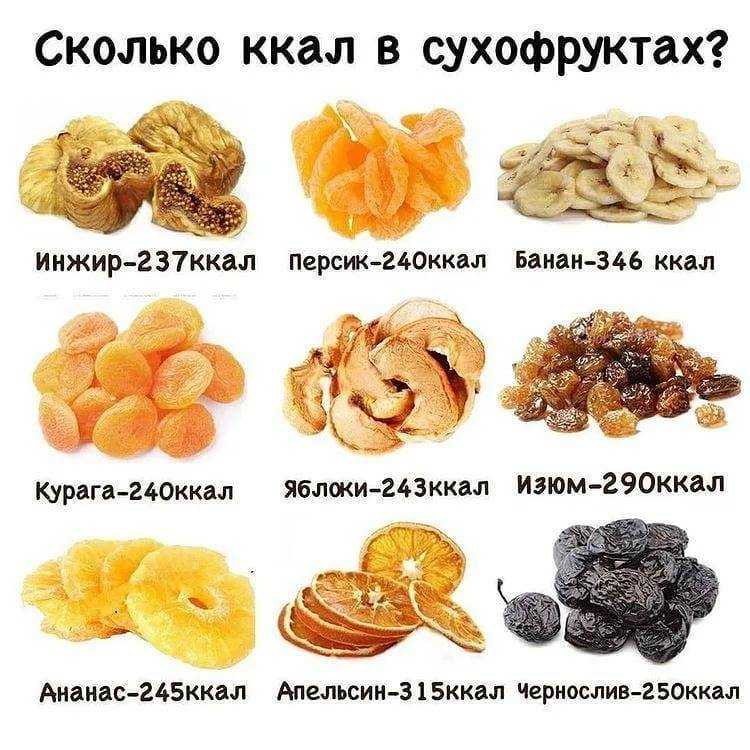 Энциклопедия чернослива: калорийность, польза и вред, сколько можно есть в день