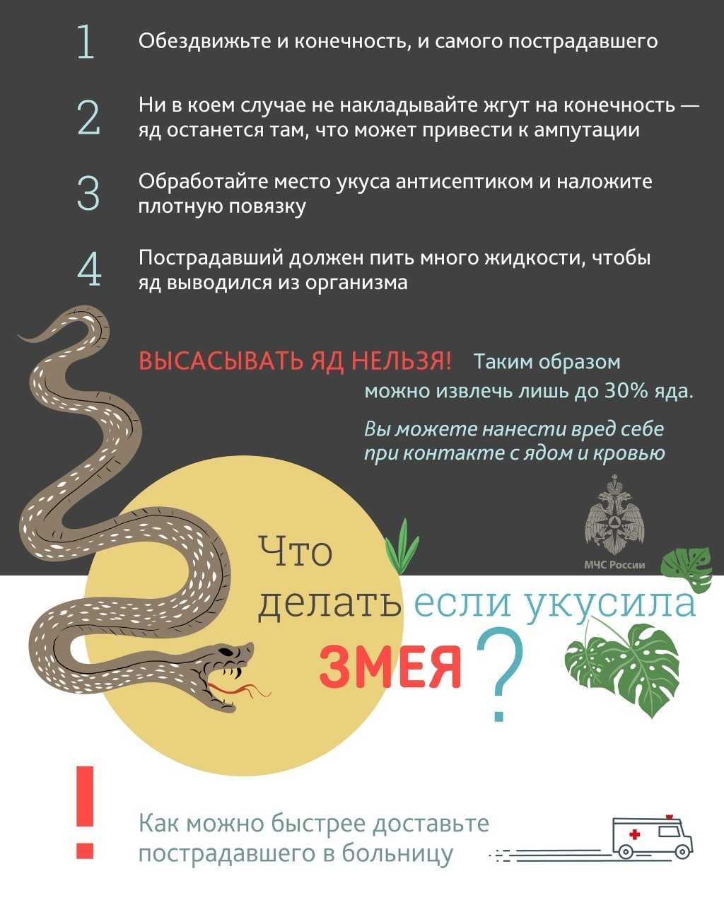 Укус змеи