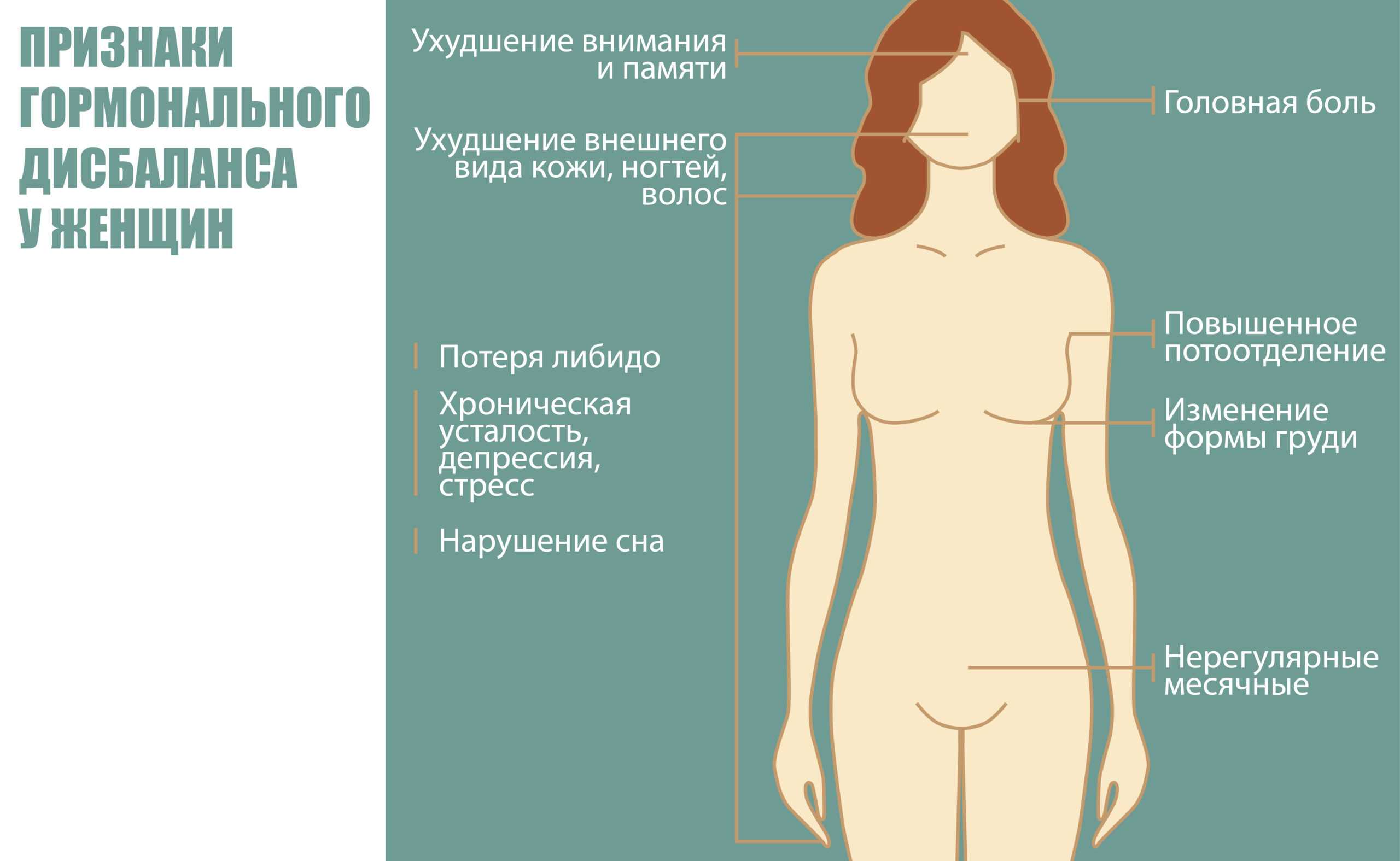 Как эстрогены влияют на менструальный цикл * клиника диана в санкт-петербурге