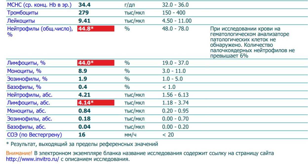 Лимфоциты (lym): понятие, функции, норма в крови, отклонения - повышены или понижены
