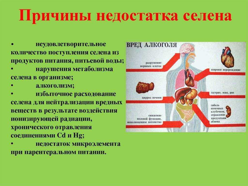 Для чего нужен цинк организму и в каких продуктах его много - подольская городская детская поликлиника № 3: статьи