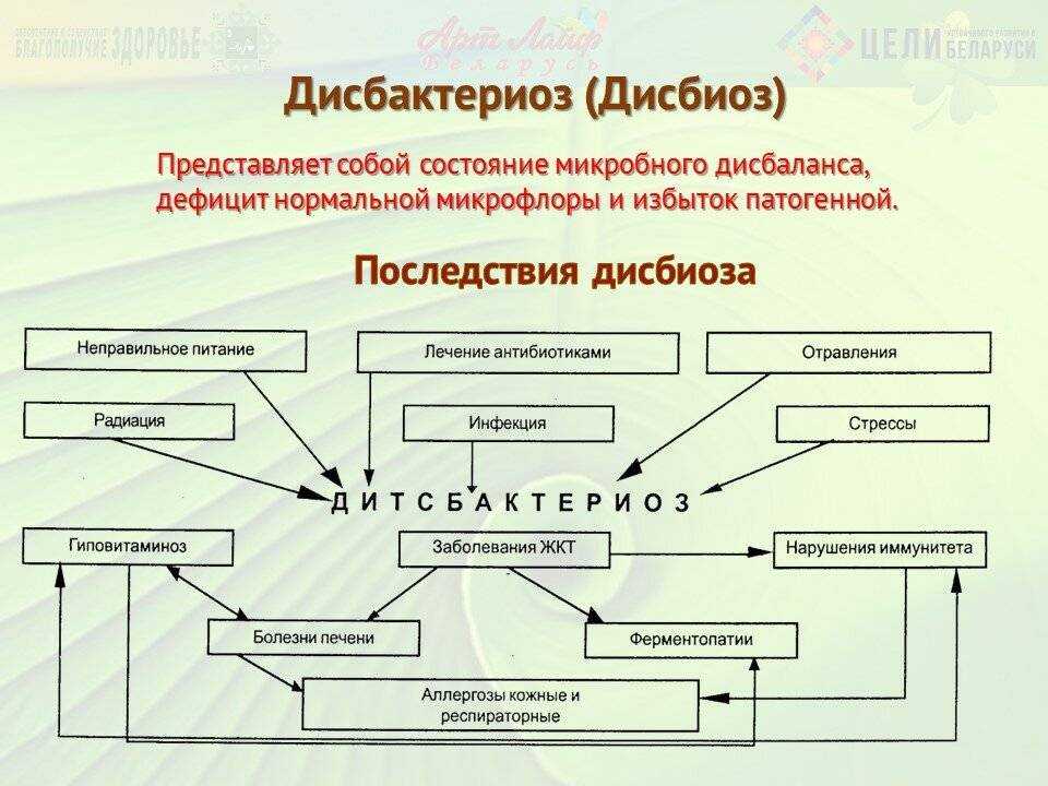 Дисбактериоз. кратко о важном. что за болезнь и как лечить
