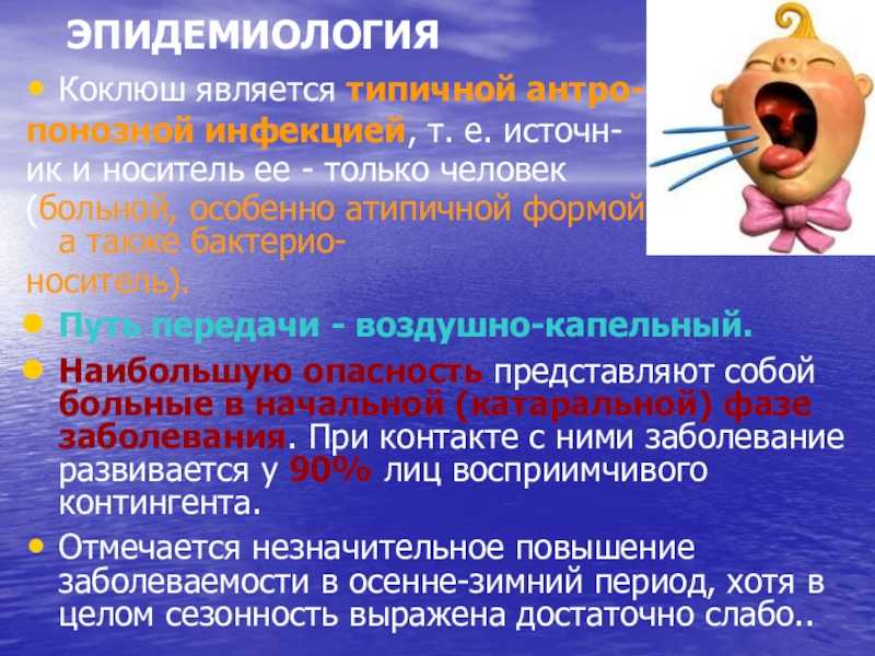 Коклюш: что это, симптомы у детей и взрослых, лечение, причины и последствия