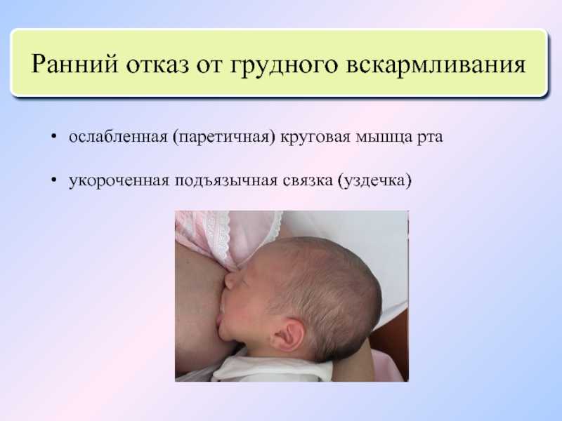 «больше полутора лет кормить ребенка грудью нельзя!» гинеколог объясняет почему | 103.by | дзен
